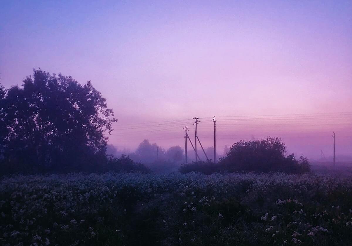 罗纳尔多:我如此喜爱做一名9号 范巴斯滕是我偶像